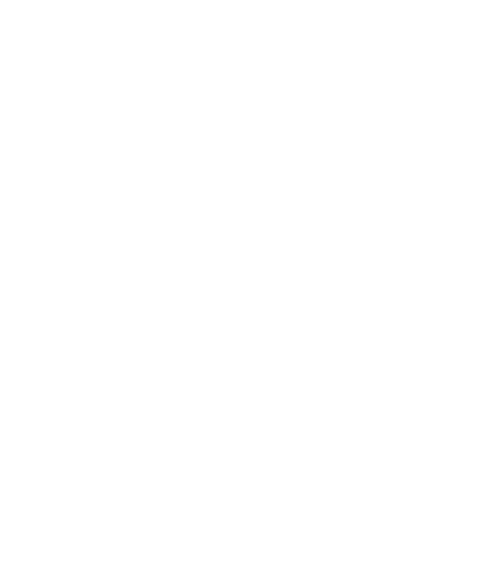 Diaz Data Systems logo